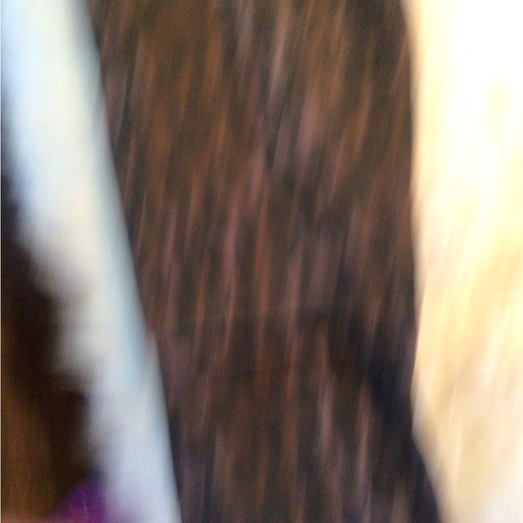 NEW! ♥️Hp! ♥️One teaspoon Freebirds II bronze leopard skinnies - Picture 3 of 8